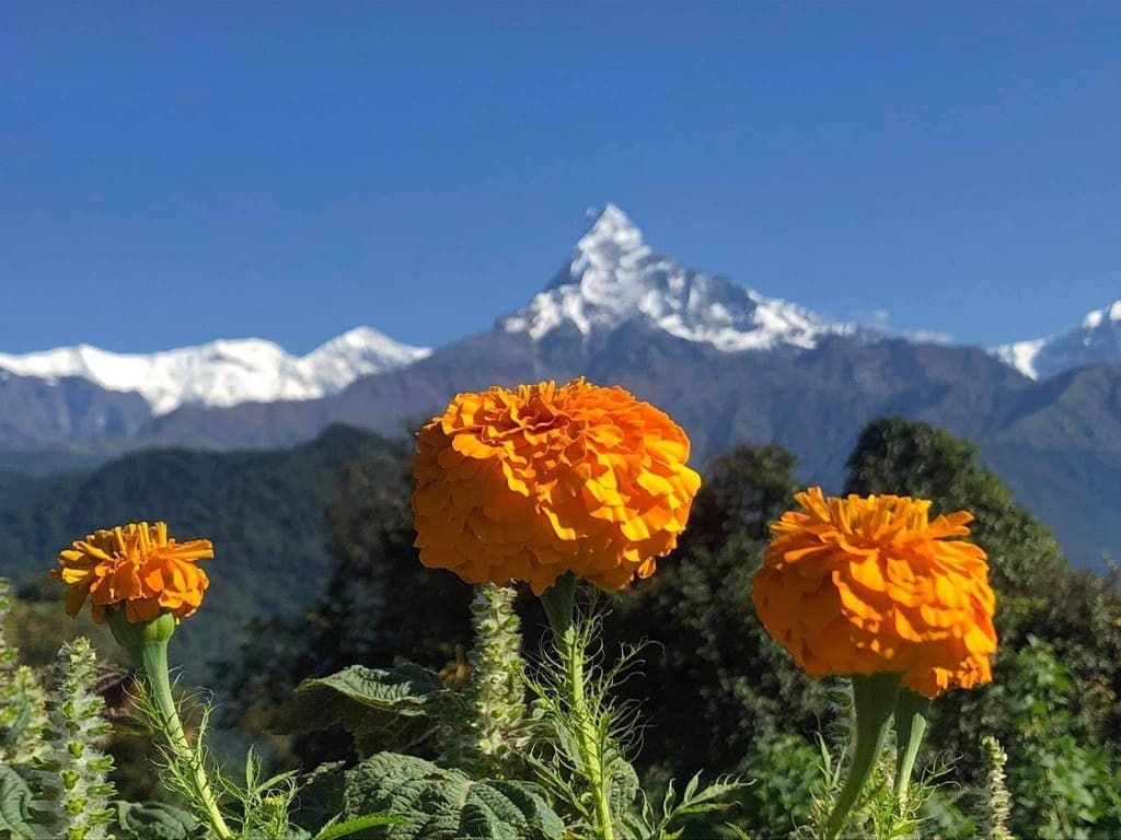 ghandruk trek in nepal