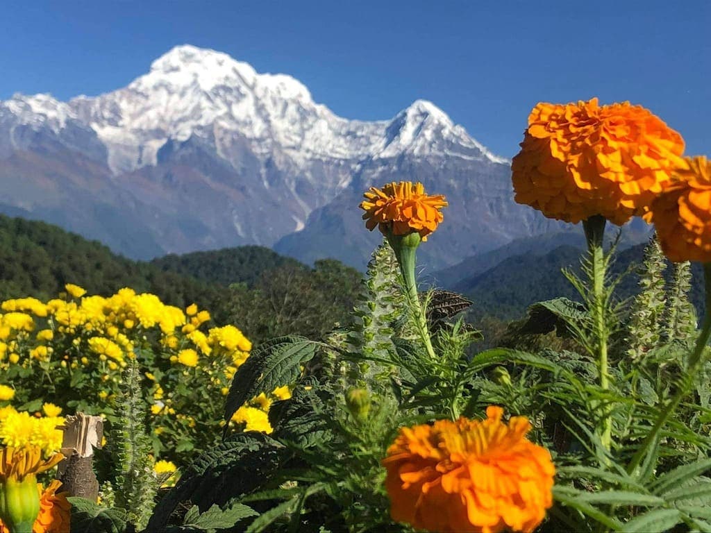 best spring treks in nepal