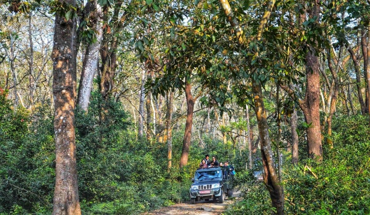 Experience the wild beauty of Nepal’s national park